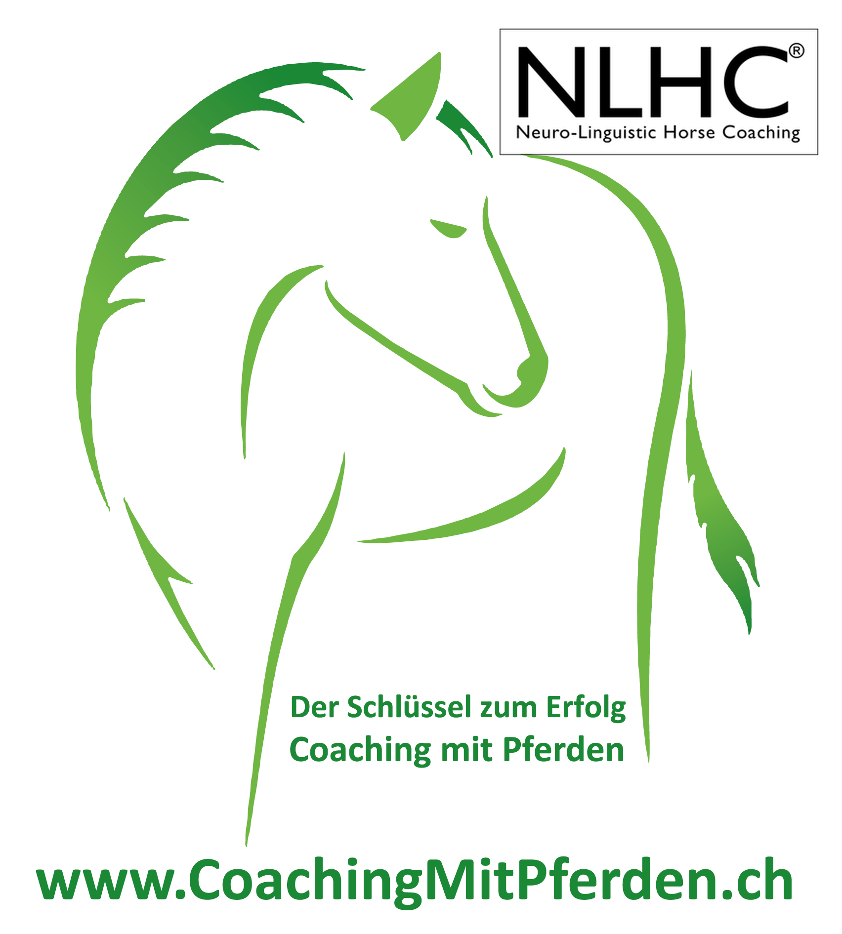 NLHC - Coaching mit Pferden, pferdegestütztes Coaching - Trainerausbildung
